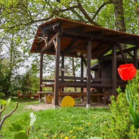 Zum Ritter - A Cozy Historical Landmark Guest house 3*